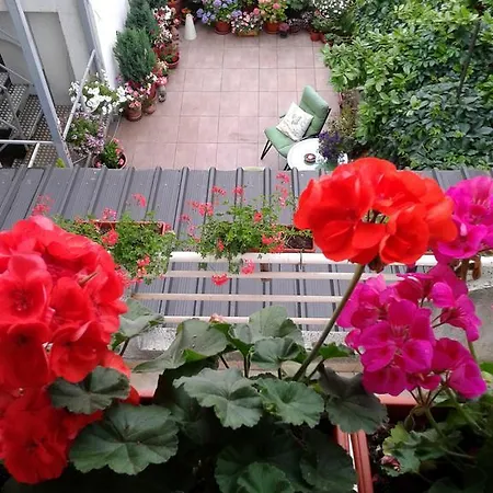 Skadarlija Apartment