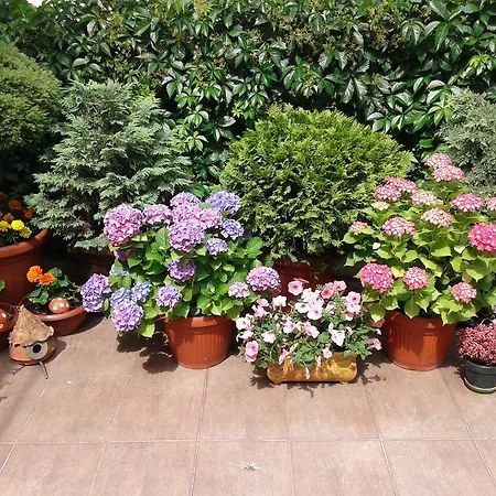 Skadarlija Апартаменты *