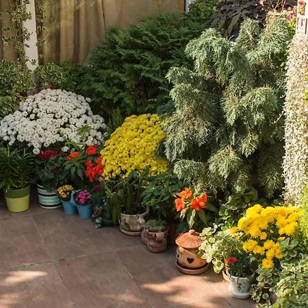 Apartment Skadarlija *