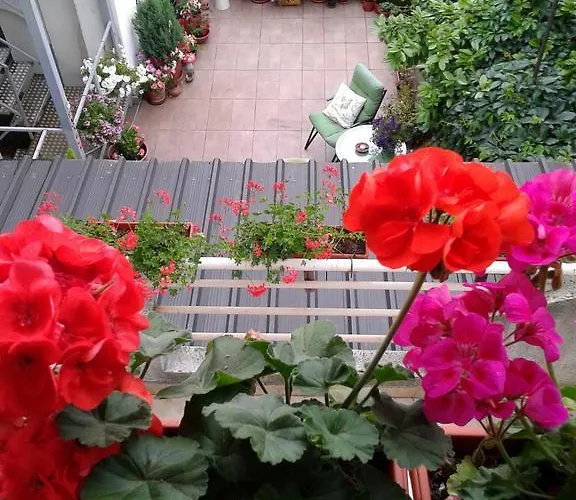 Skadarlija Apartment