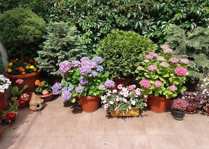 Skadarlija Apartment *