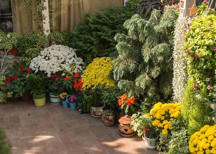 Apartment Skadarlija *